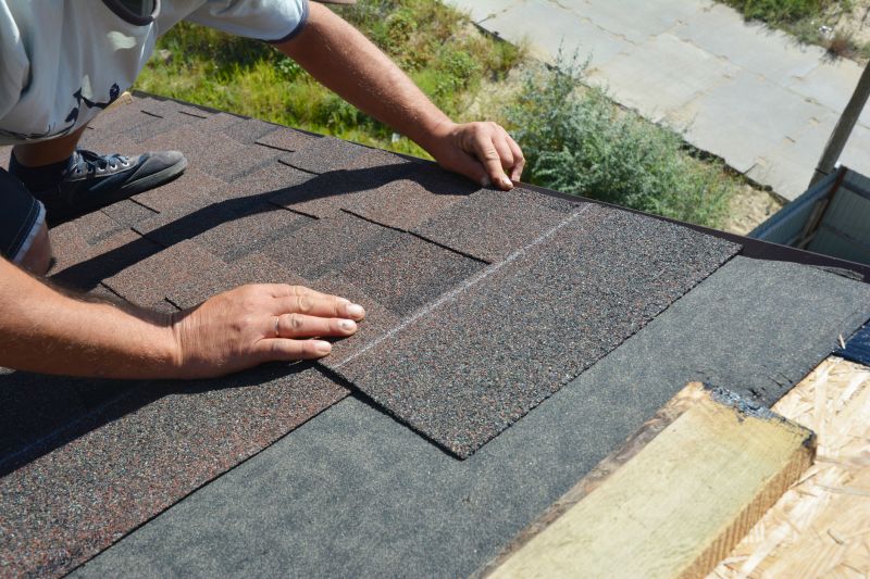 Professional Roof Repair